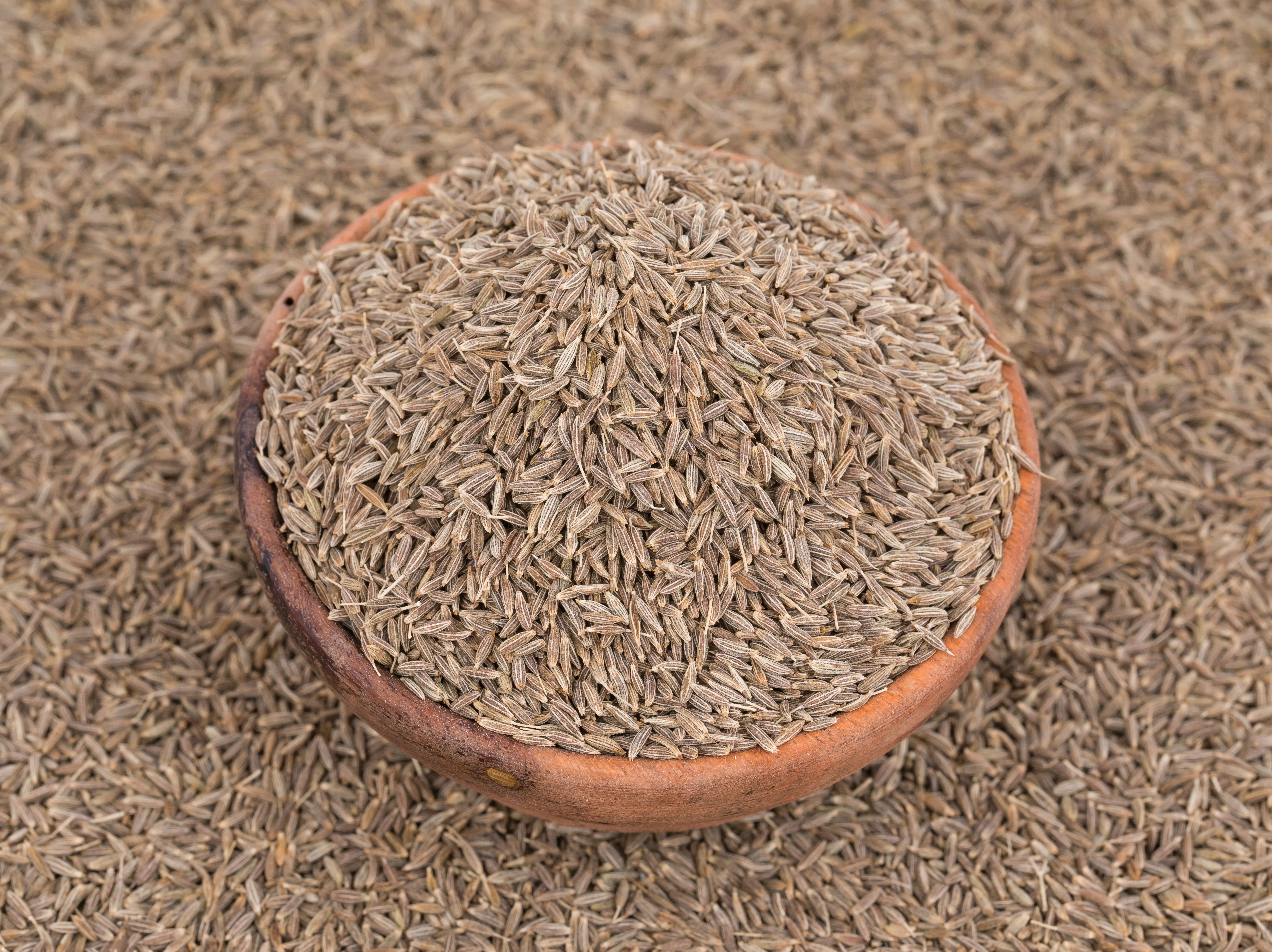 Cumin Seeds