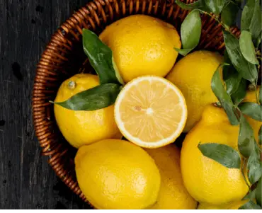 Fresh Lemon